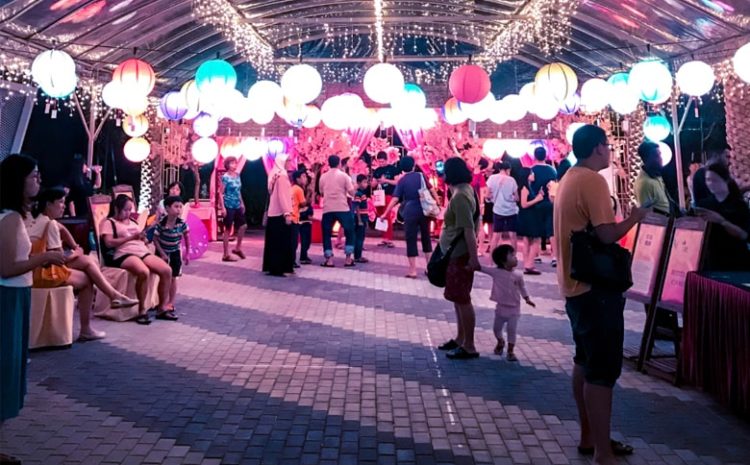 Elmangos-Connect